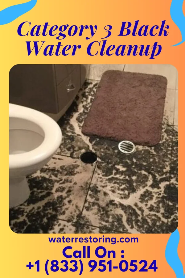 Category 3 Black Water Cleanup in Falmouth, VA