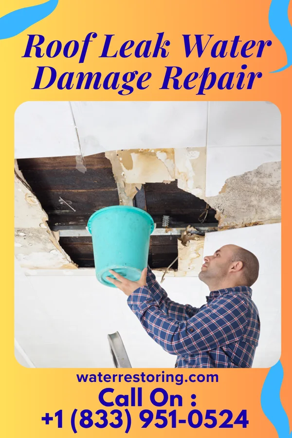 Roof Leak Water Damage Repair in Falmouth, VA