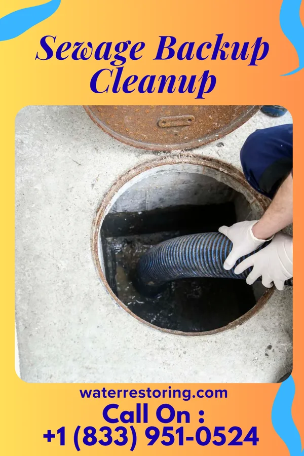 Sewage Backup Cleanup in Falmouth, VA