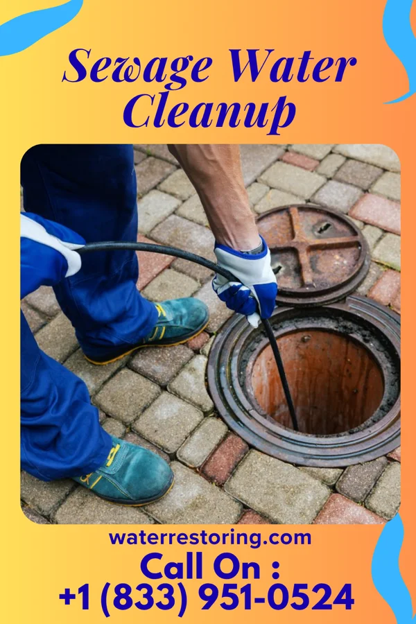 Sewage Water Cleanup in Falmouth, VA